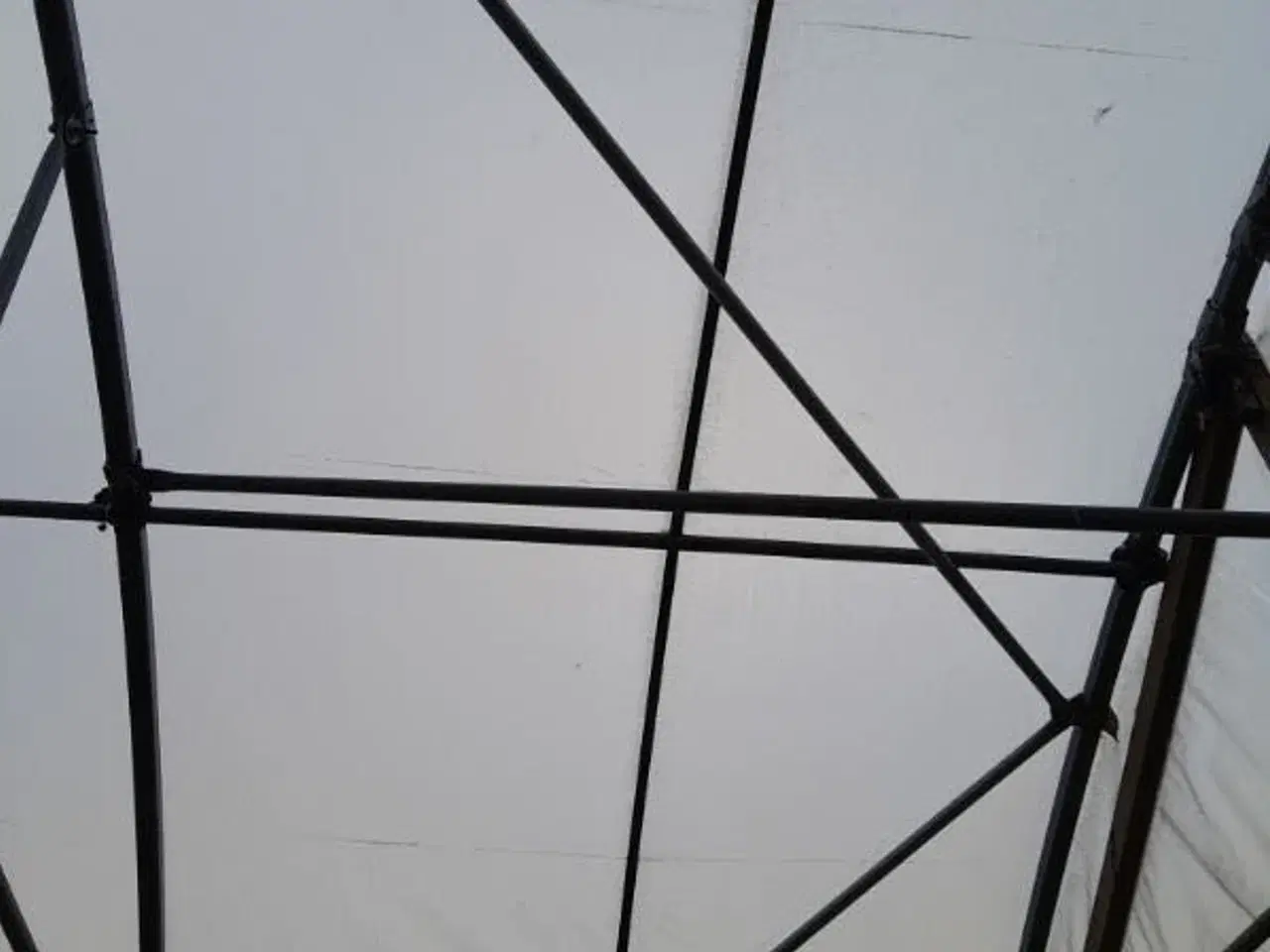 Billede 7 - Tunneldrivhus