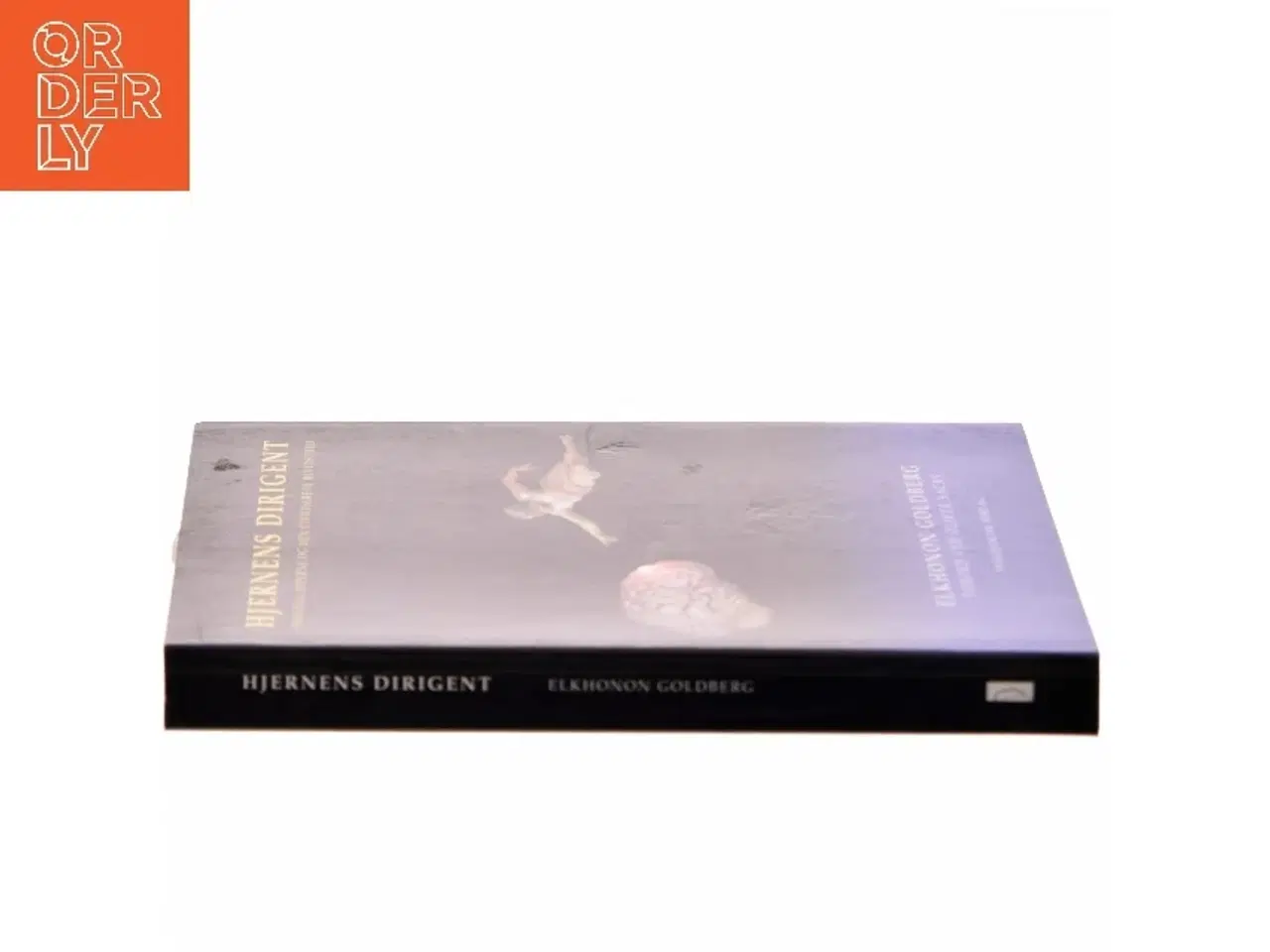 Billede 2 - Hjernens dirigent : frontallapperne og den civiliserede bevidsthed af Elkhonon Goldberg (Bog)