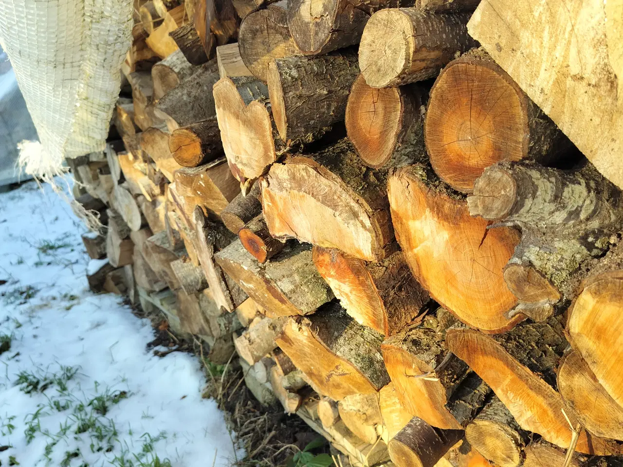 Billede 3 - brænde sælges 500 kr pr rum tlf 30201397