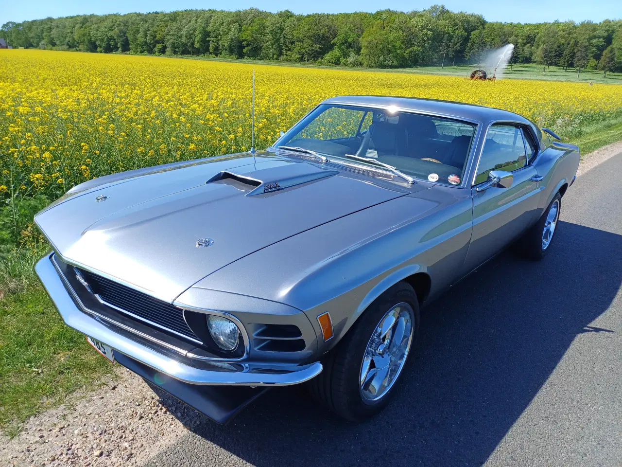 Billede 10 - 1970 Ford Mustang Fastback