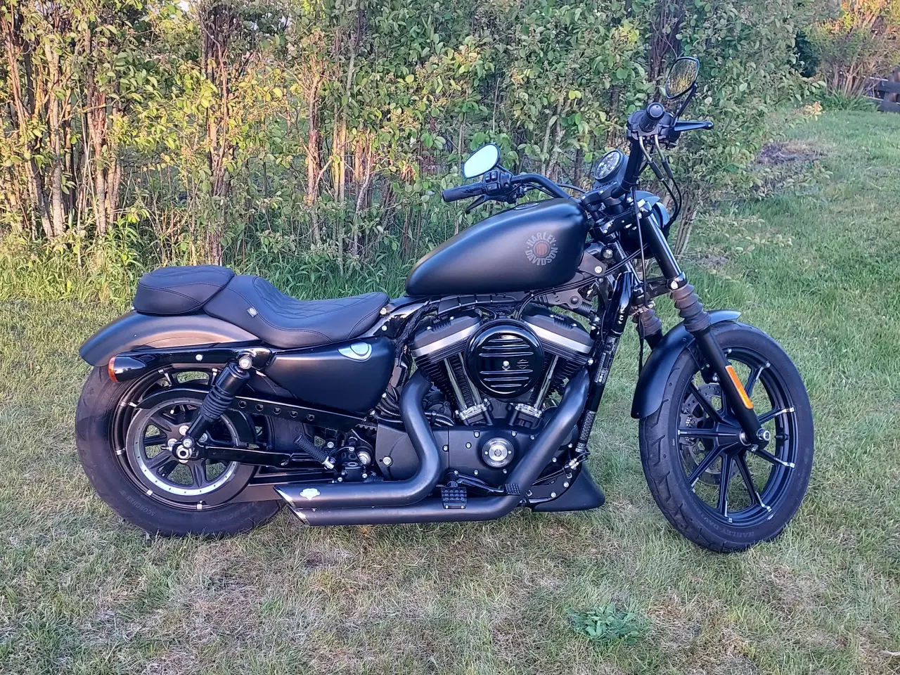 Billede 2 - Harley Davidson XL 883 N Iron