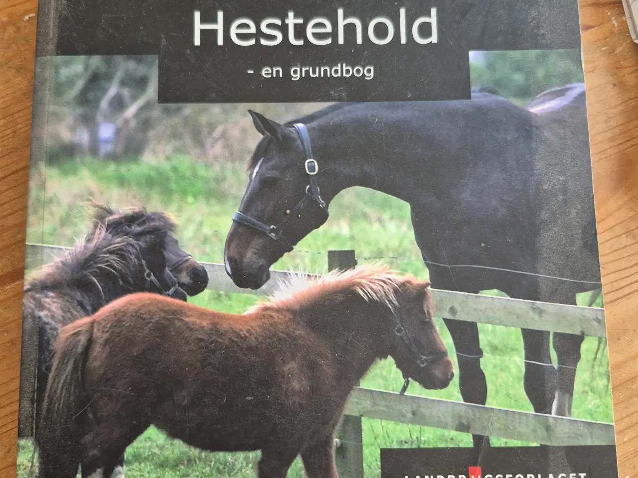 Billede 13 - Hestebøger mange forskellige