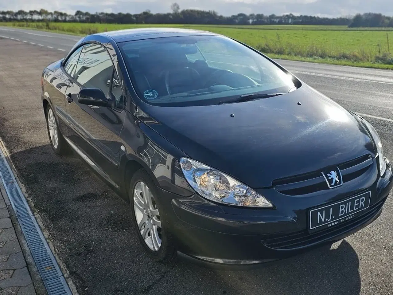 Billede 4 - Peugeot 307 2,0 16V CC