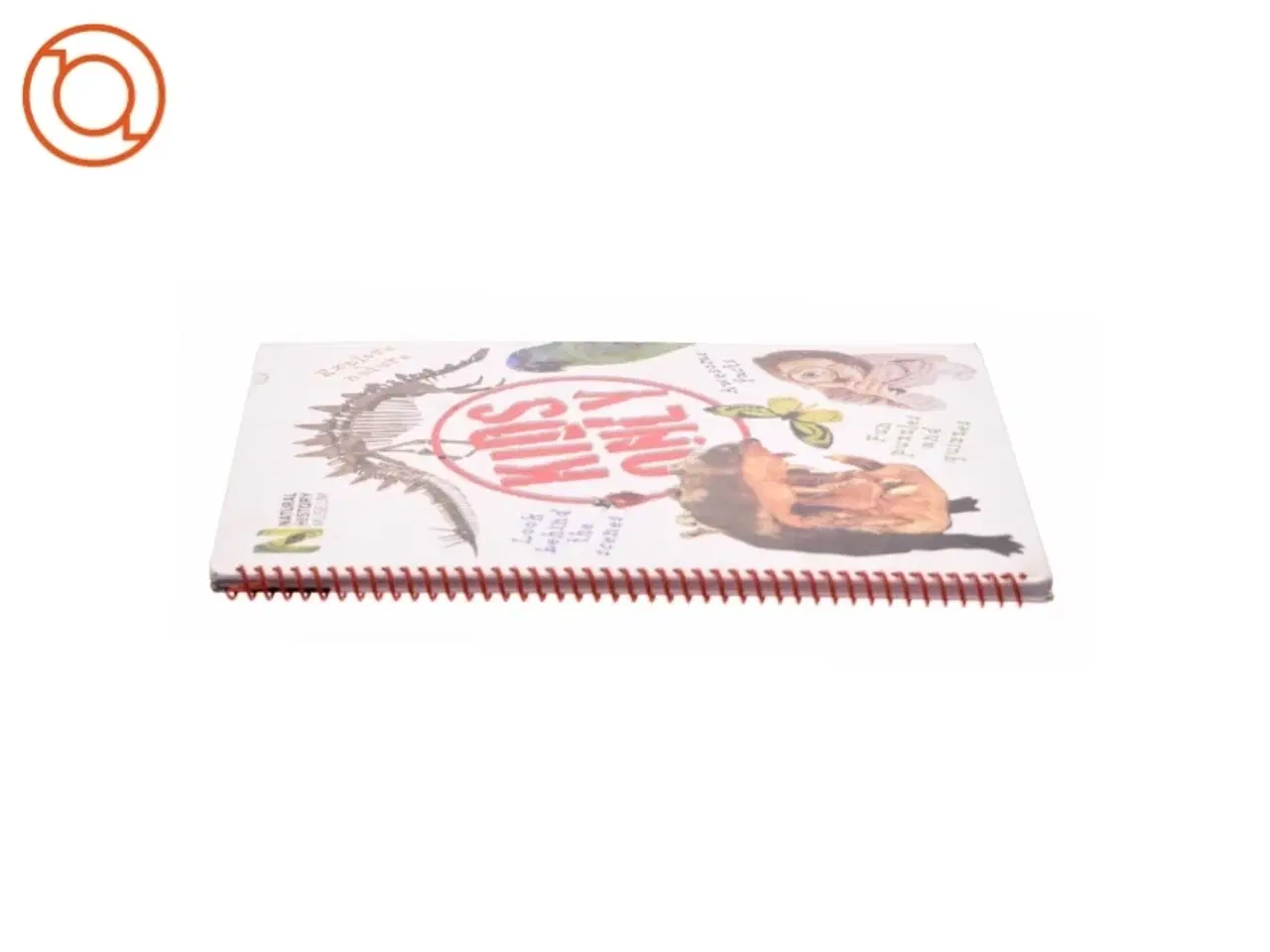 Billede 2 - Kids only : a children's guide (Bog)