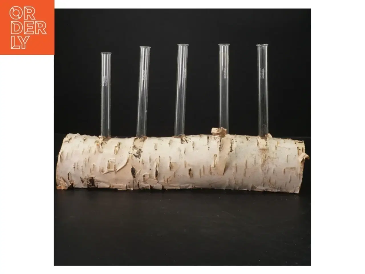 Billede 1 - Unik blomsterholder i birketræ med reagensglas (str. 35x21 cm)