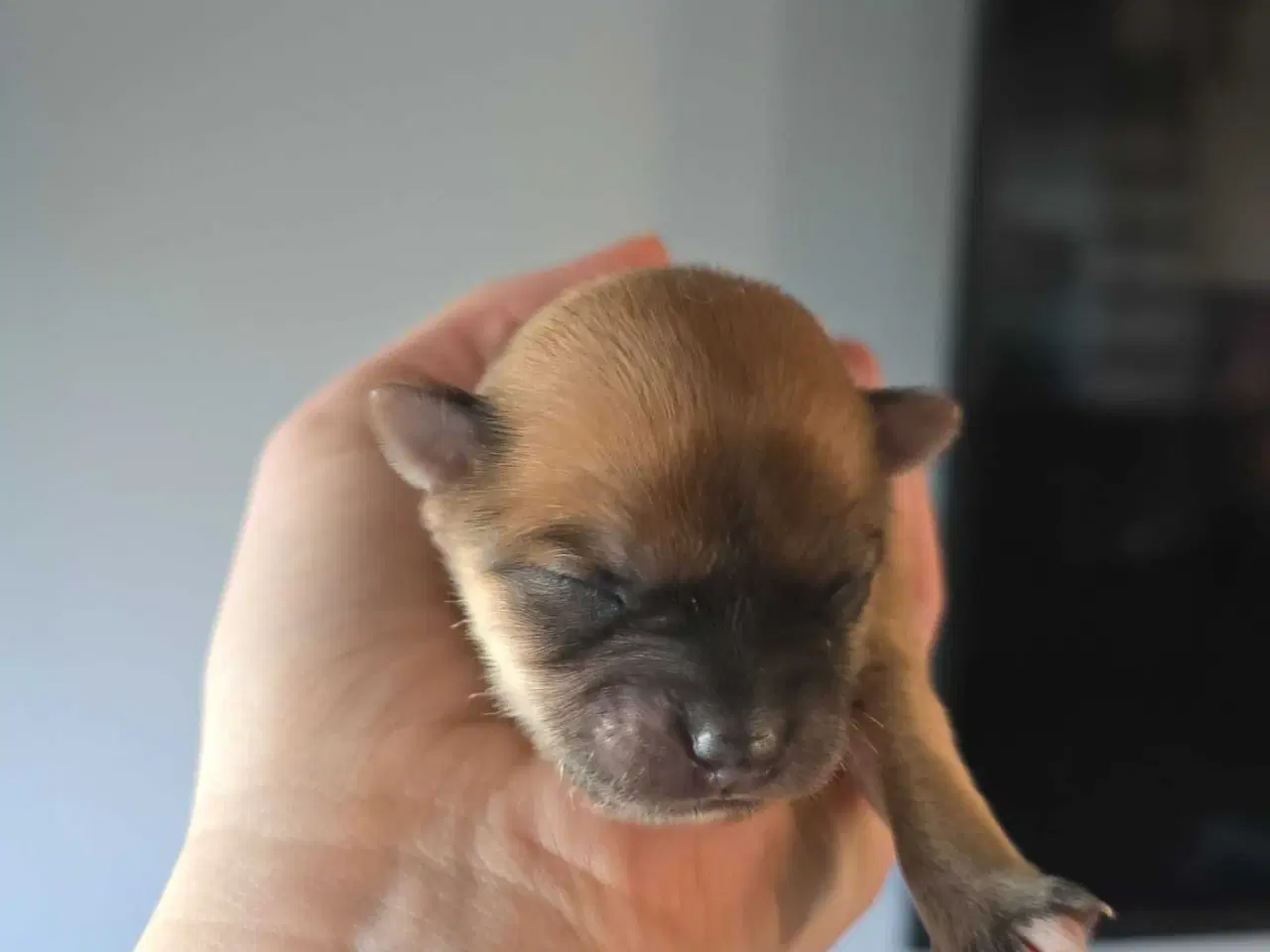 Billede 8 - 3 skønne piger