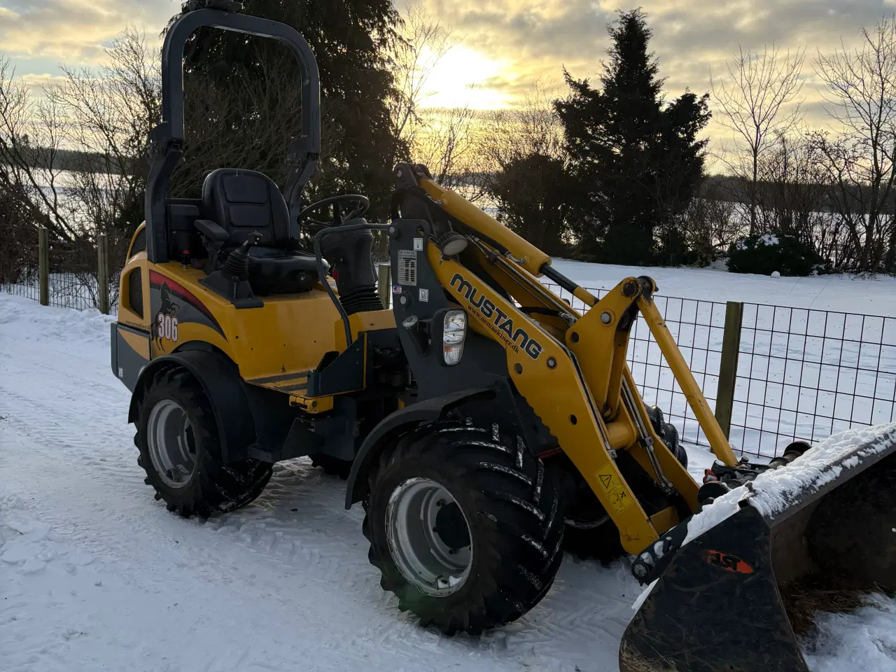 Billede 4 - Mustang 306