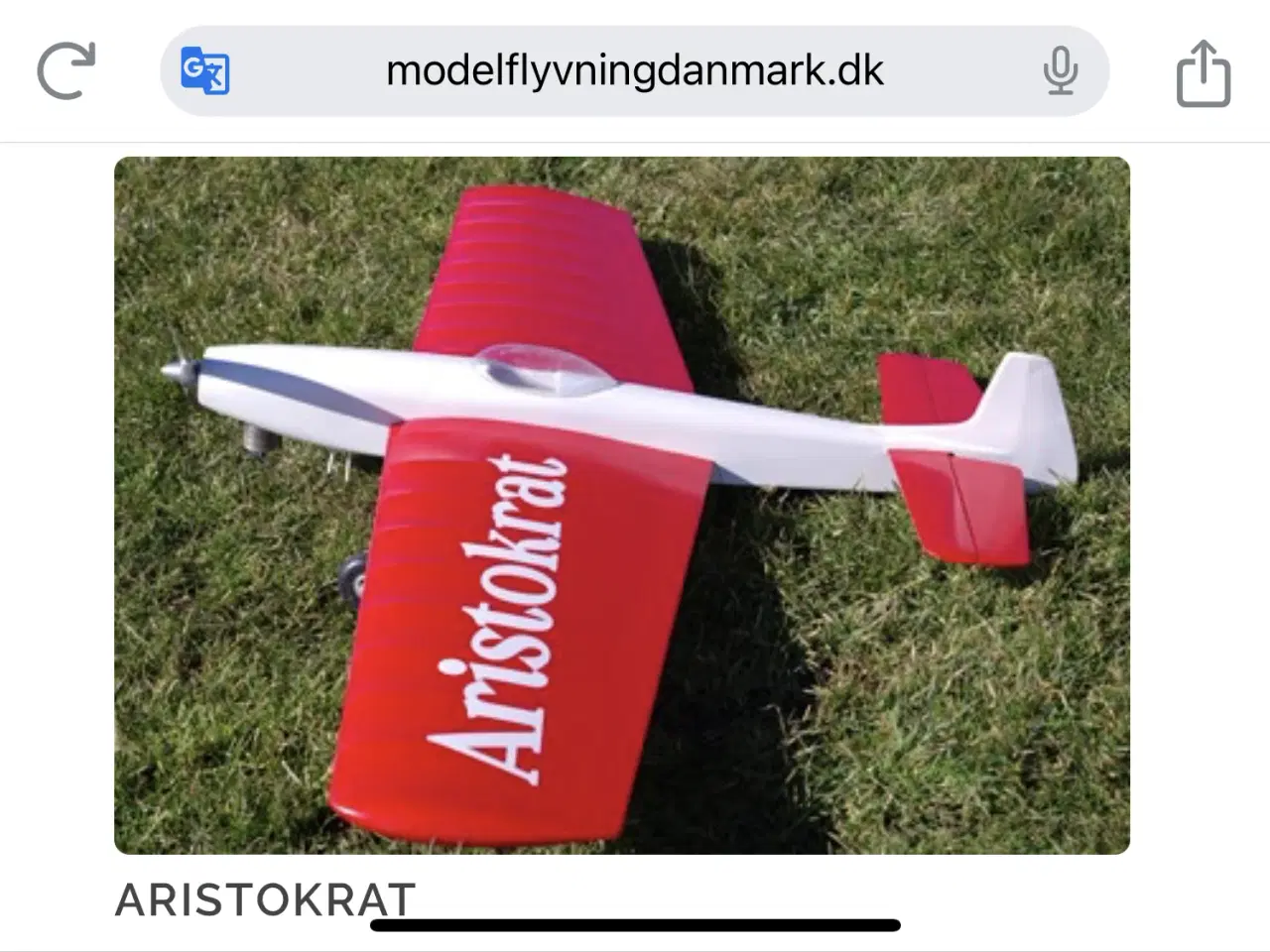 Billede 1 - Aristokrat fra DMI