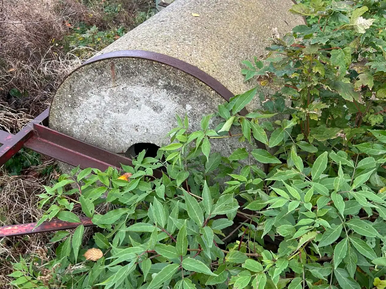 Billede 9 - Agerskov cement-tromle