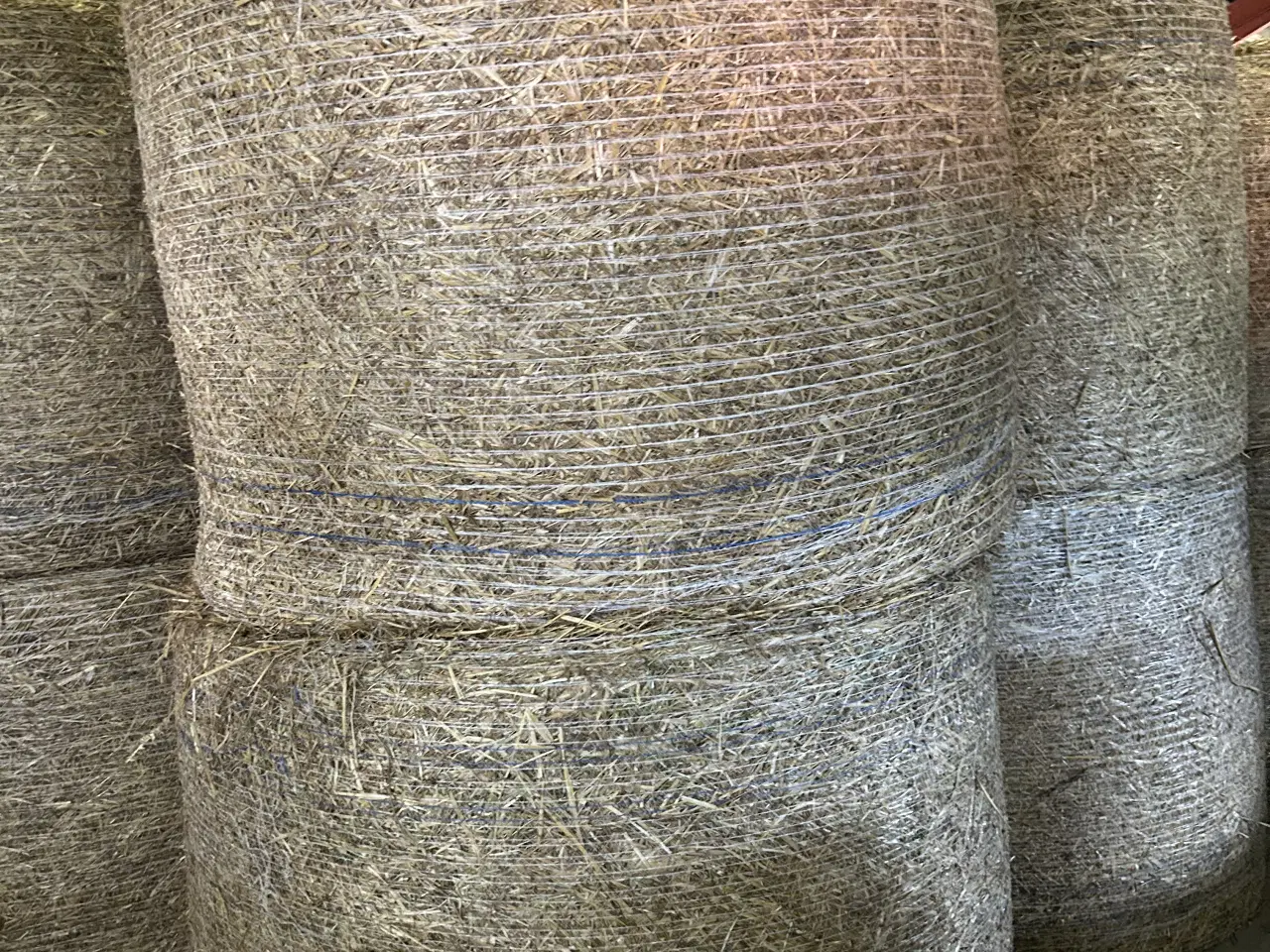 Billede 1 - Hvedehalm