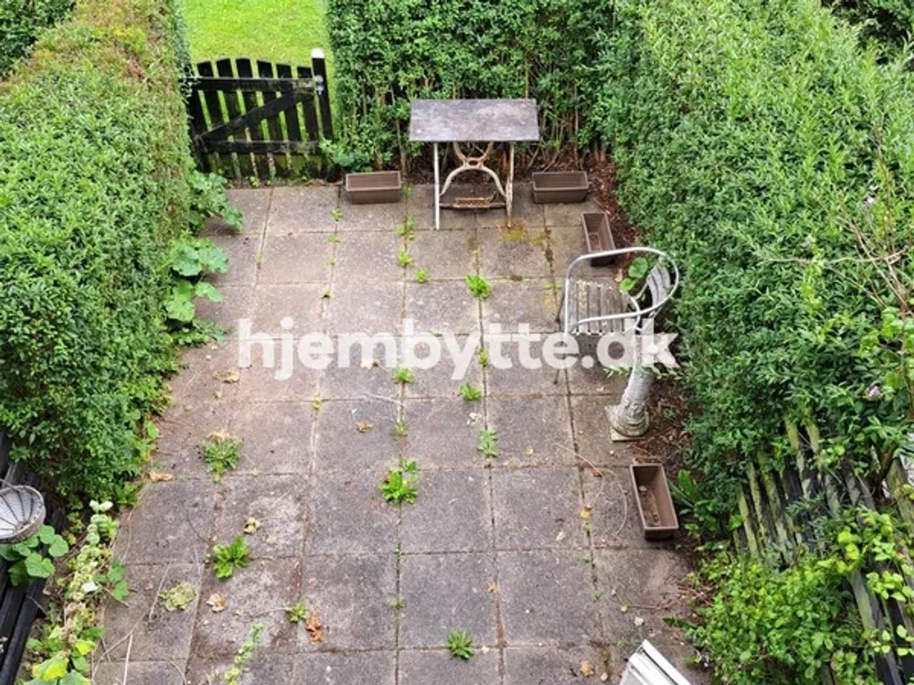 Billede 6 - Hjembytte - Hyldemosen