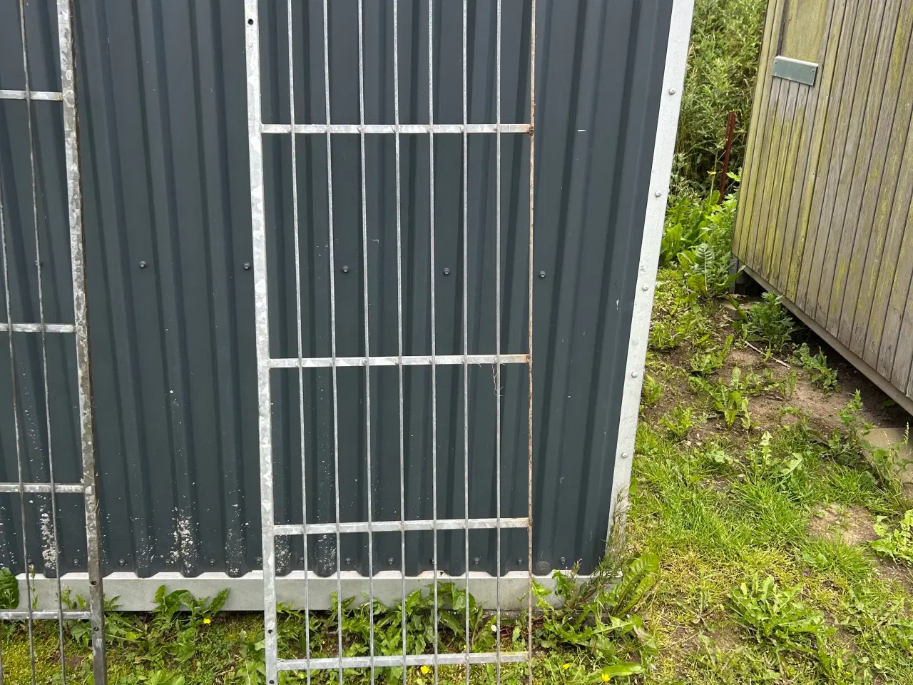 Billede 3 - Hundegård 
