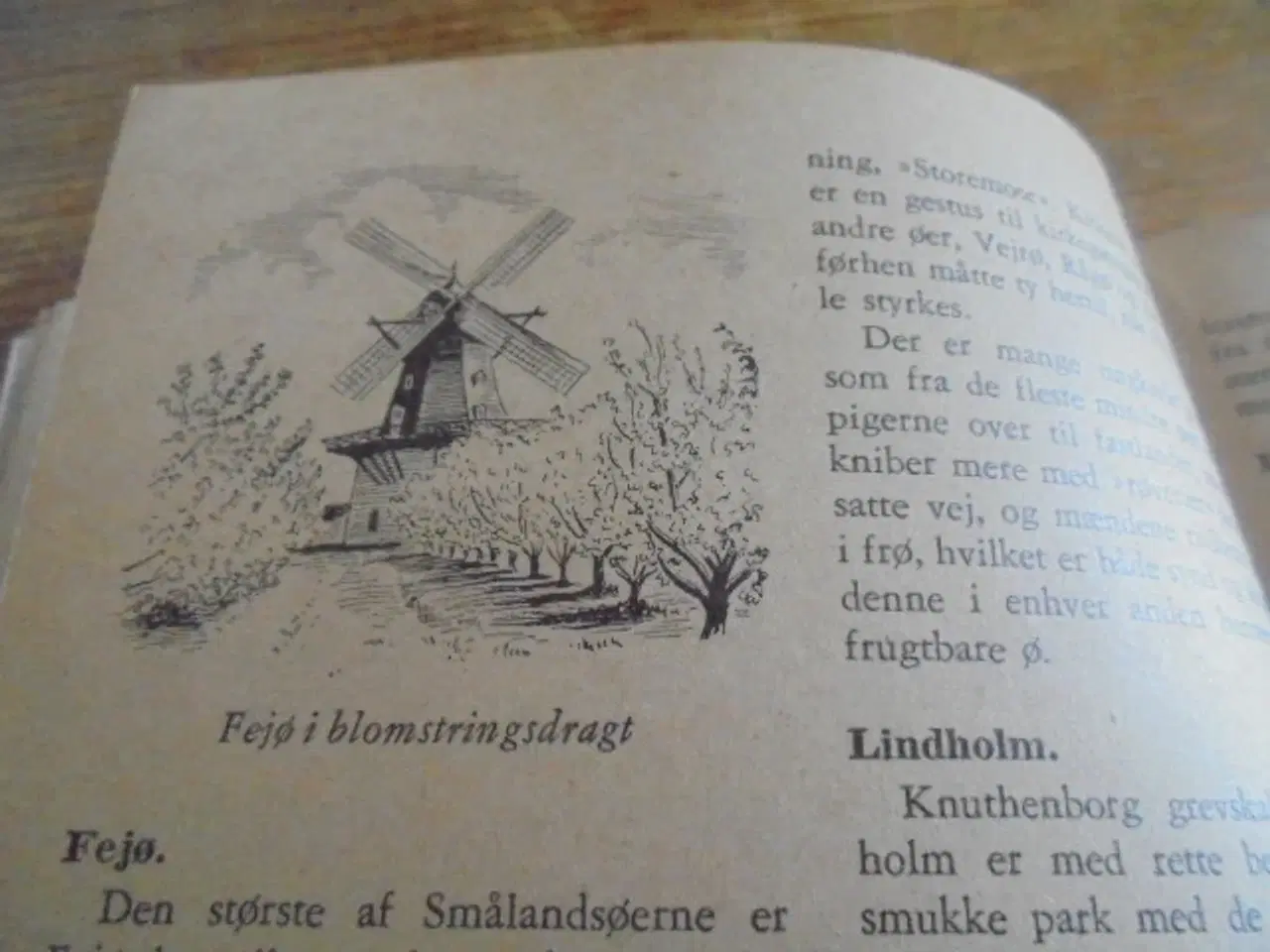 Billede 4 - Ture til danske øer – udgivelse fra 1959  