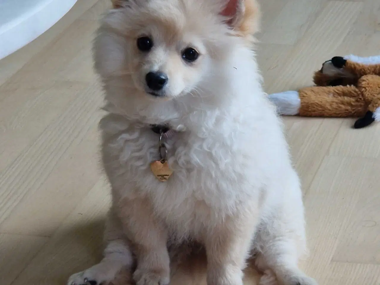 Billede 3 - Smuk lys bamsepige