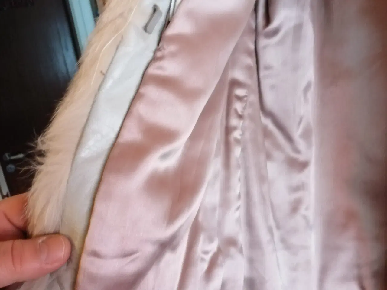 Billede 3 - Ægte blåræv