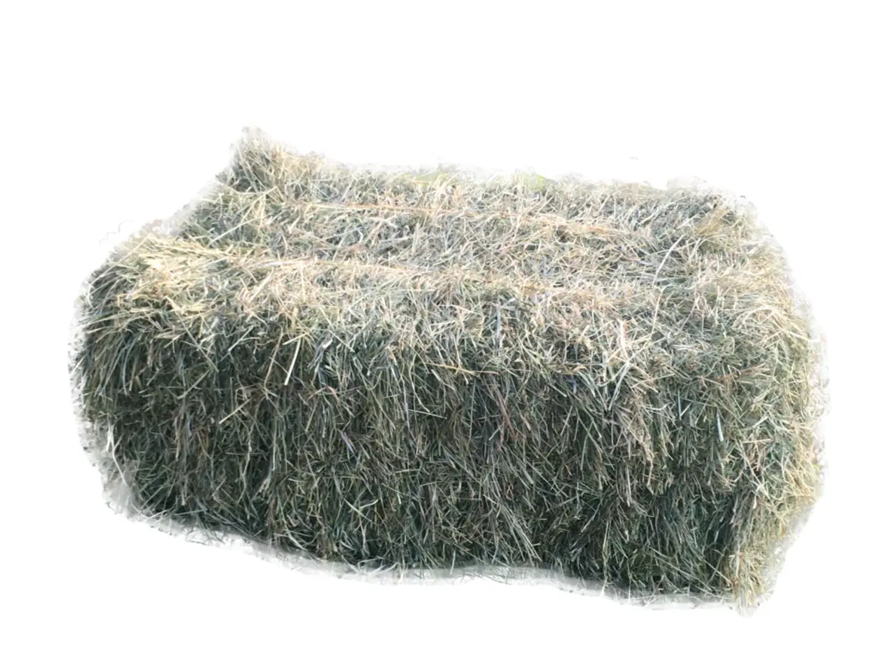 Billede 1 - Hø i minibigballer