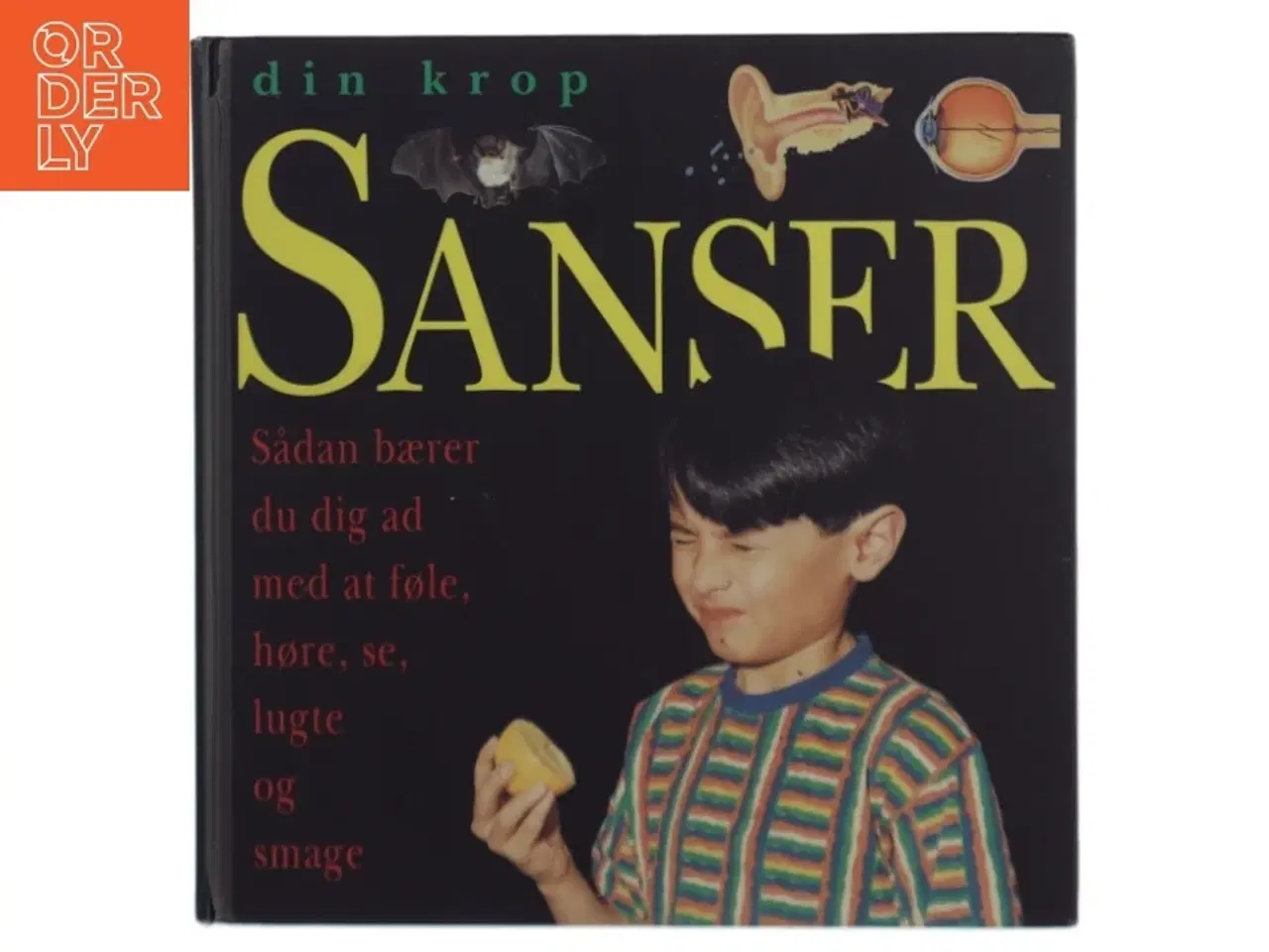 Billede 1 - Sanser - Din krop af Anna Sandeman (Bog) fra Forlaget Flachs