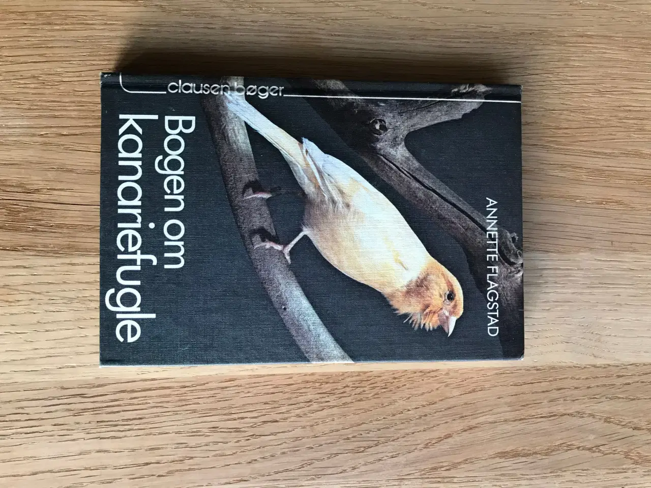 Billede 1 - Bogen om kanariefugle  Annette Flagstad