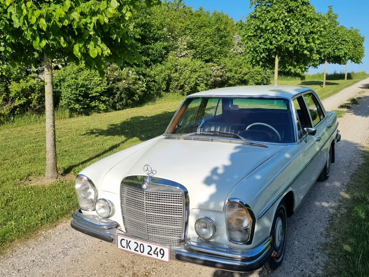 Billede 2 - Mercedes 280se 1968