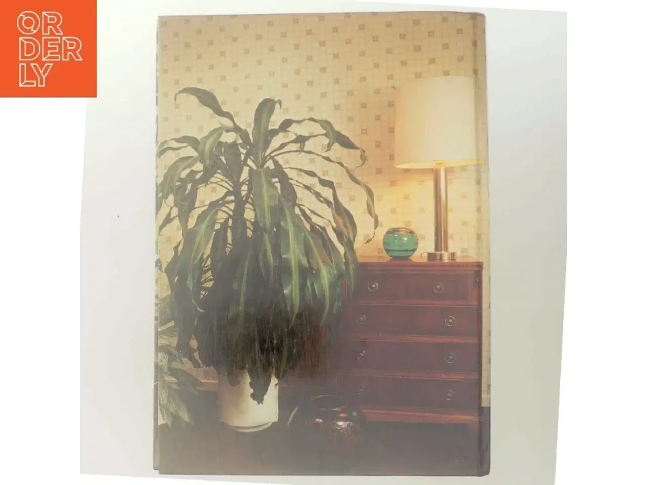 Billede 3 - Planter i hjemmet (Bog)