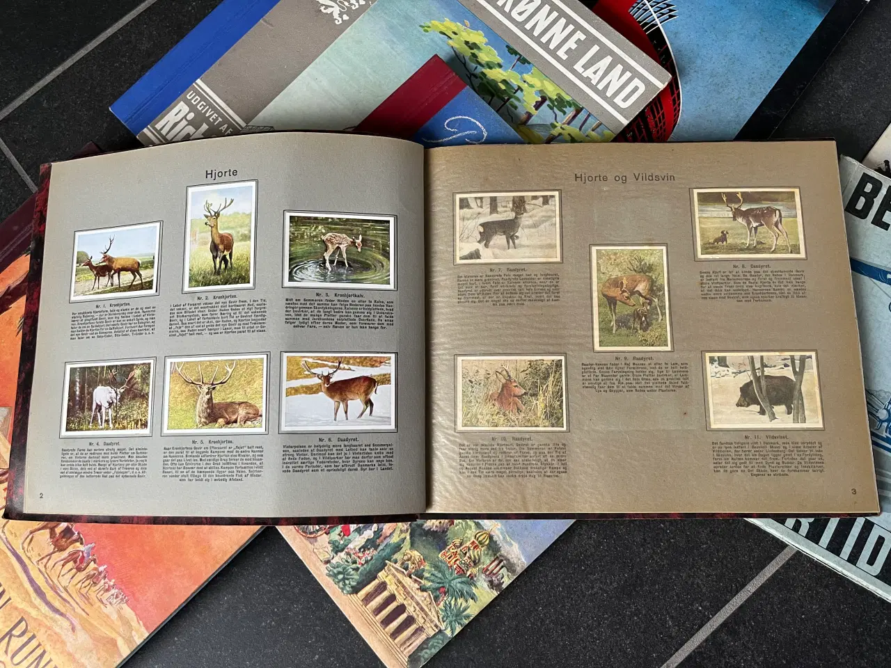 Billede 6 - Richs  Samlealbum 