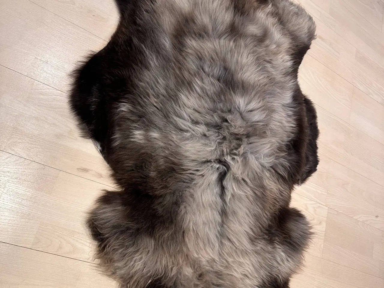 Billede 2 - Lammeskind 