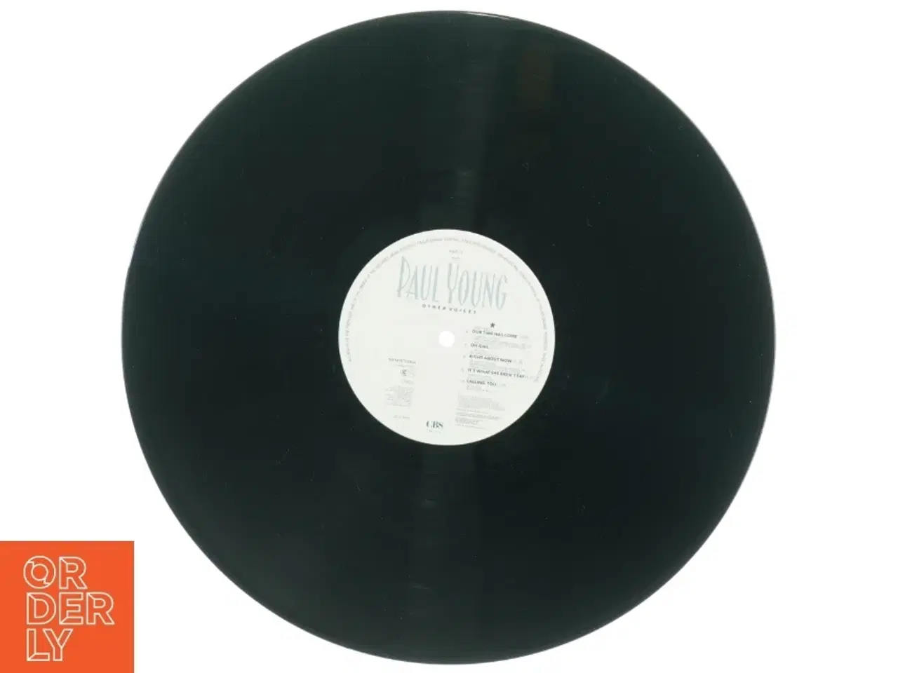 Billede 8 - Paul Young &#39;Other Voices&#39; vinylplade (str. 31 x 31 cm)