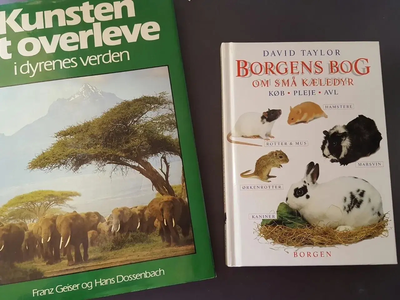 Billede 3 - Forskellige dyrebøger sælges