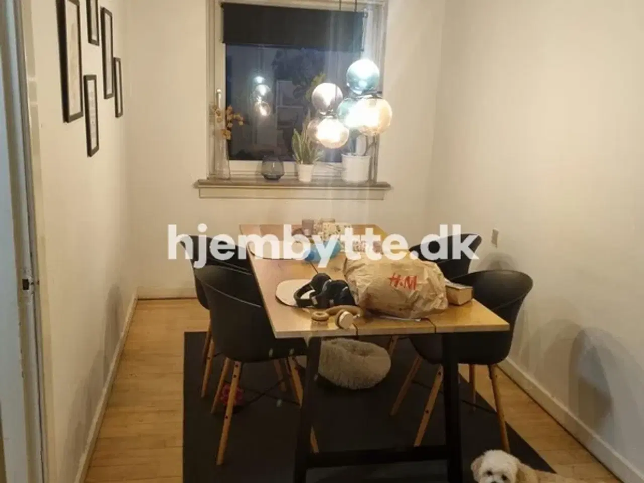 Billede 2 - Hjembytte - ParkAllé