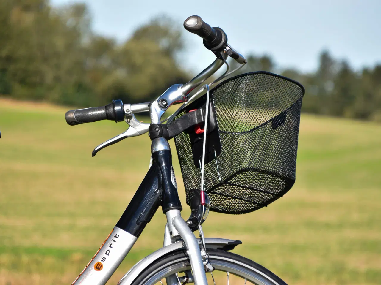 Billede 3 - Gazelle Esprit 7G 49CM