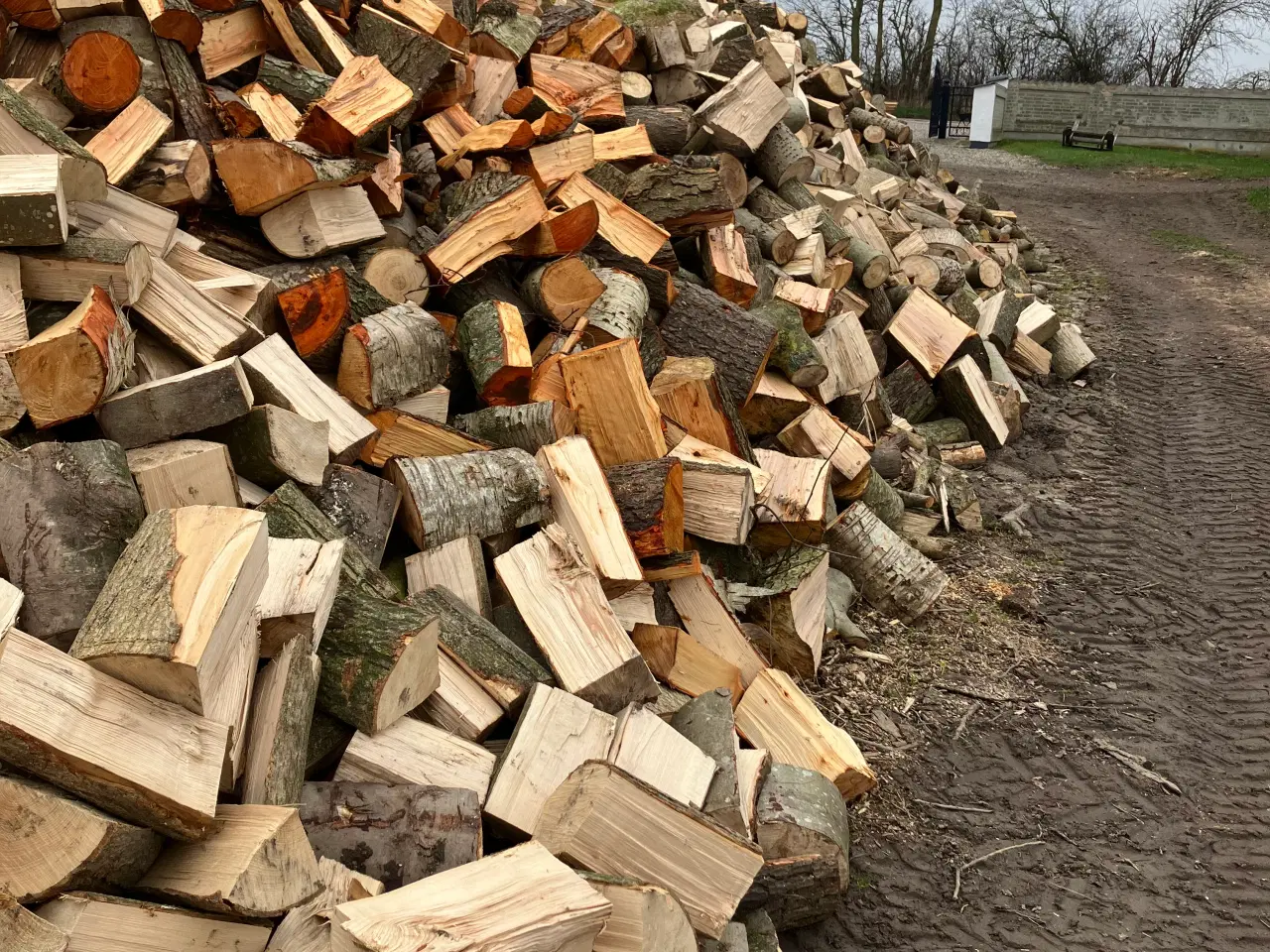 Billede 1 - Brænde blandet løvtræ