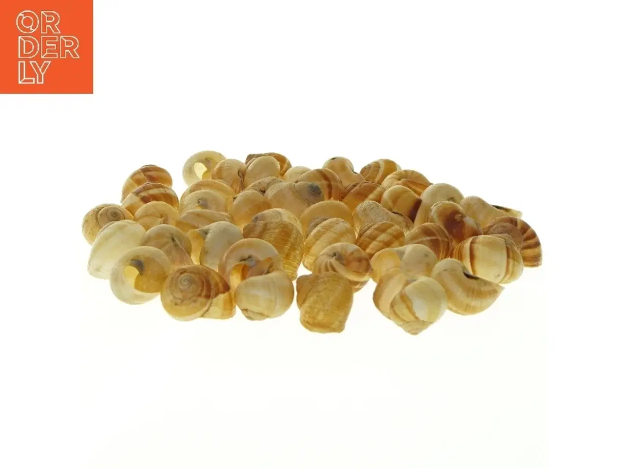 Billede 1 - Sneglehuse