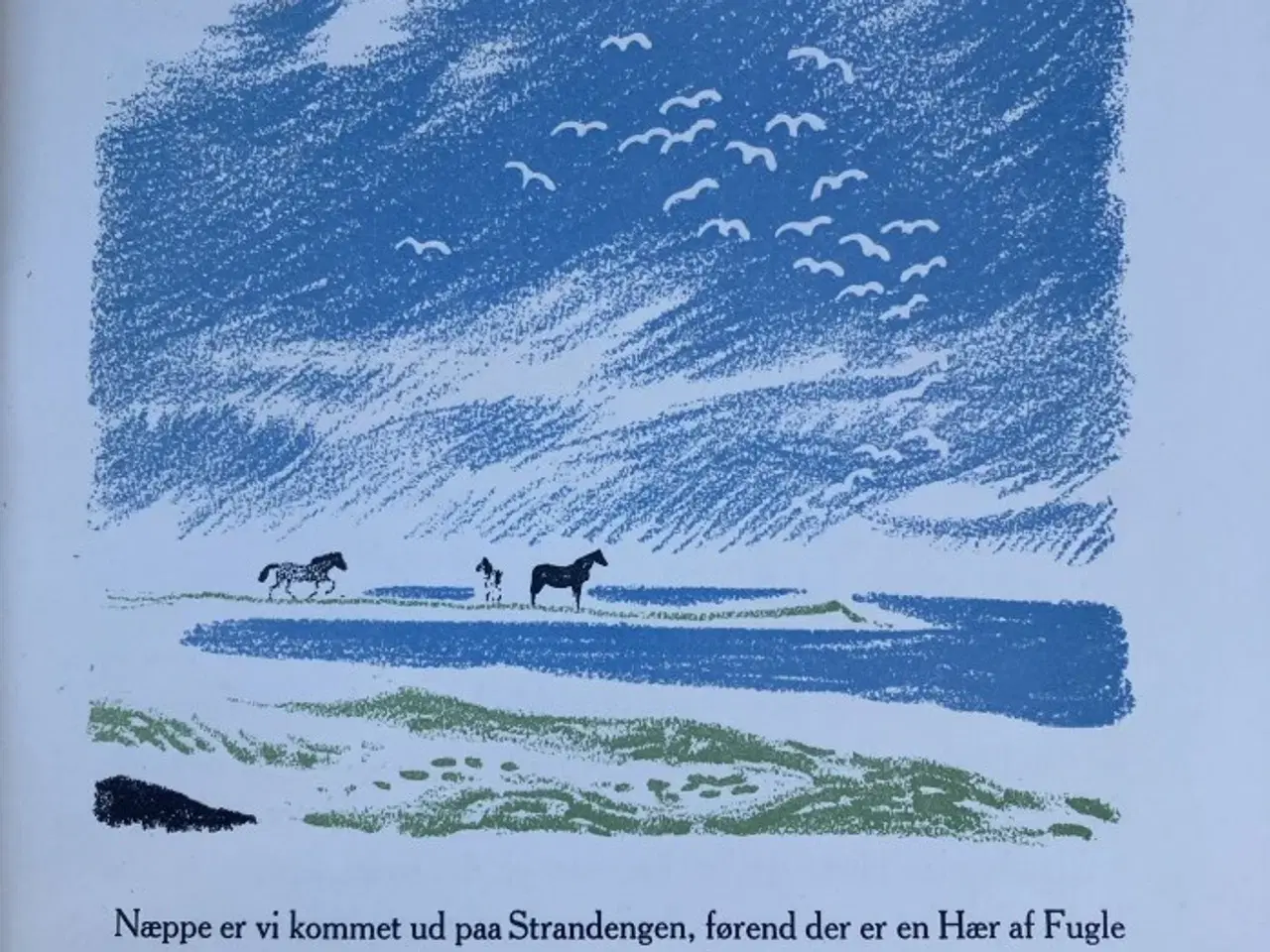 Billede 2 - Dyrene derude – med illustrationer af Sikker Hanse