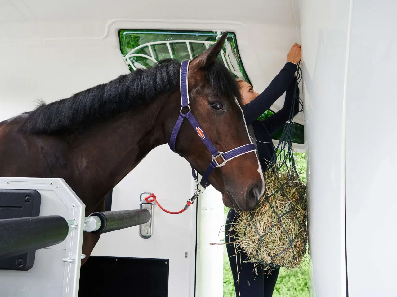 Billede 25 - Böckmann Neo L SR