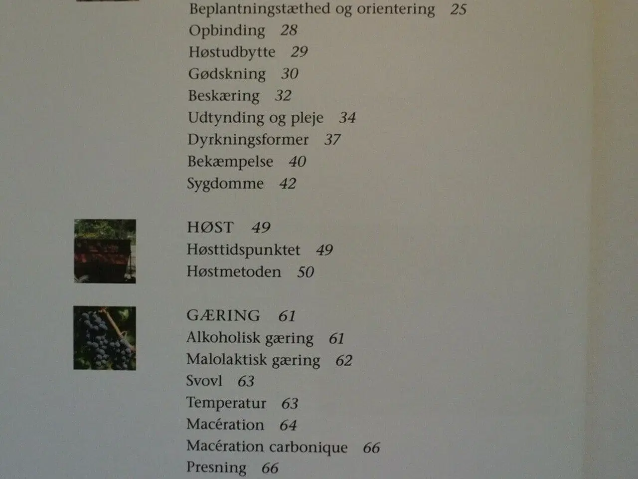 Billede 2 - vinfremstilling - fra drue til flaske, af lars tor