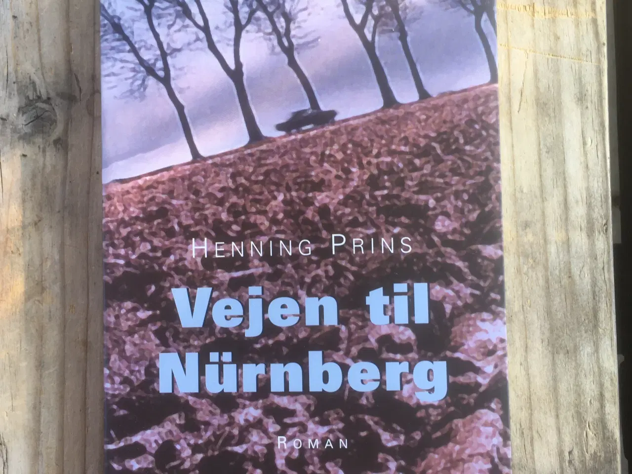 Billede 1 - Vejen Til Nürnberg, Henning Prins