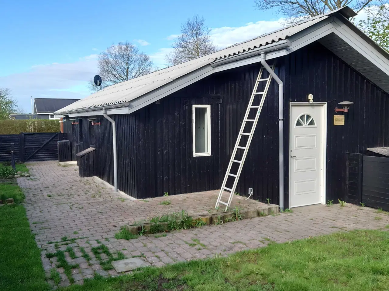 Billede 10 - Kolonihaven Aalborg til salg i draget 