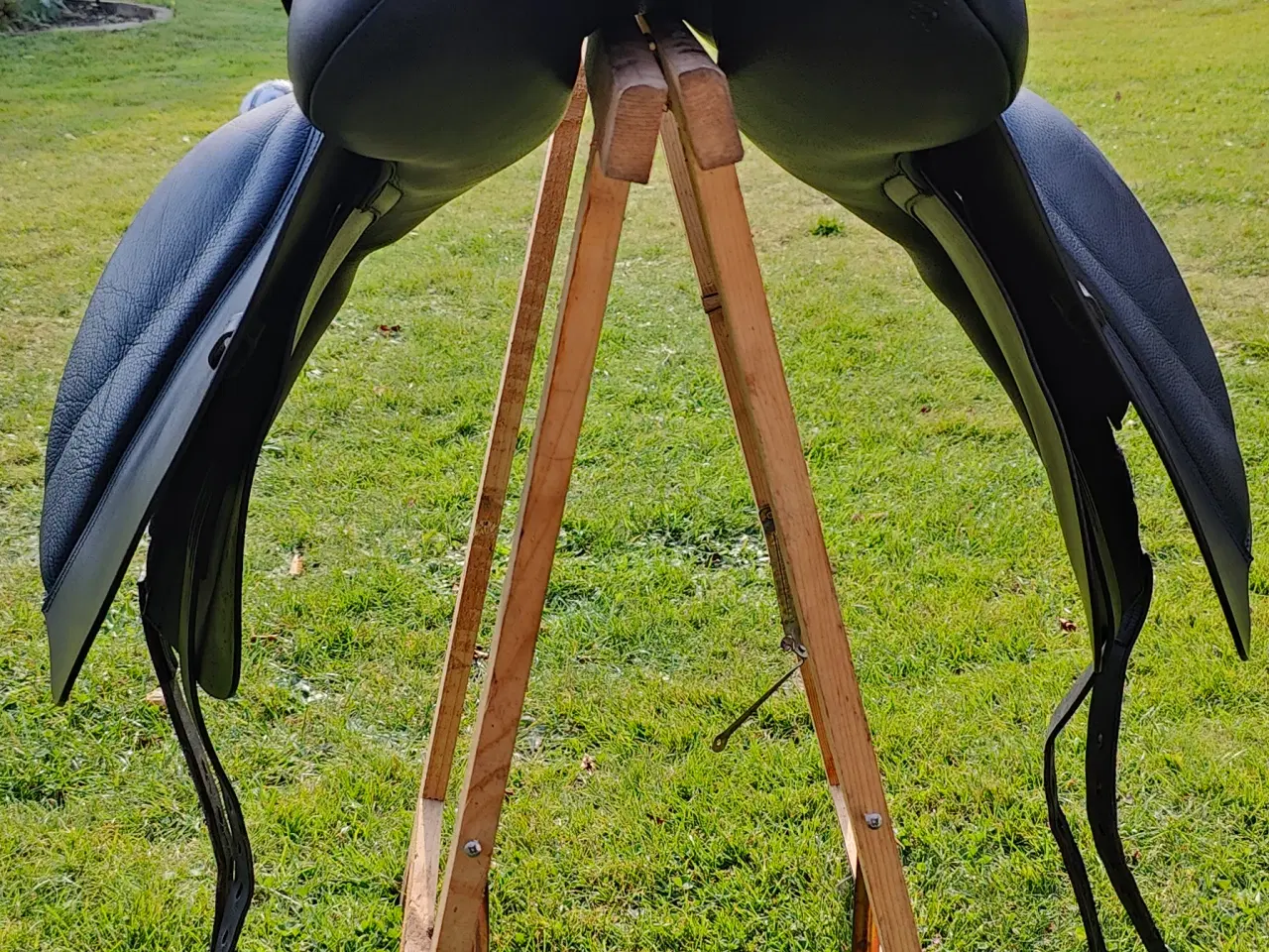 Billede 3 - Kent og Master 17 dressursadel