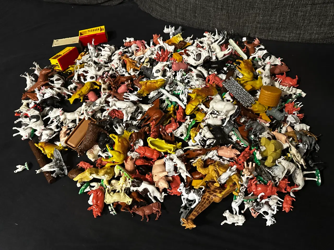 Billede 2 - Blandede bondegårds dyr