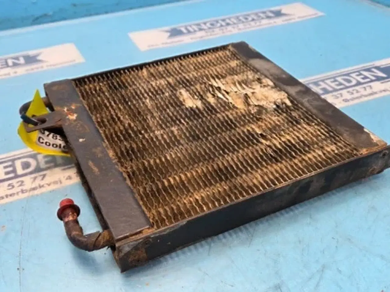 Billede 5 - Massey Ferguson 6260 Køler 3783923M1