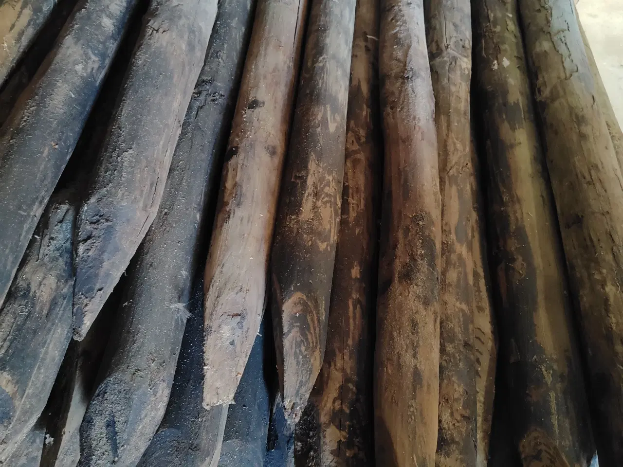 Billede 1 - Hegnspæle