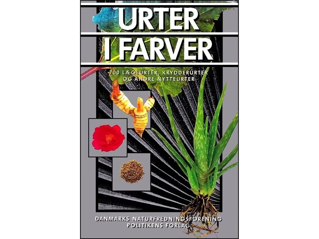 Billede 1 - Urter i farver