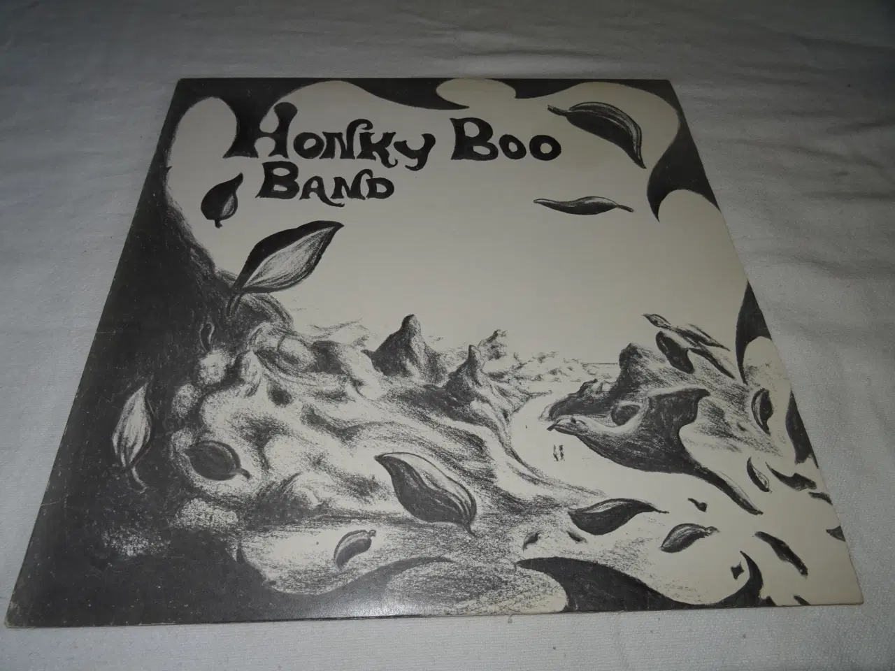 Billede 1 - Honky Boo band Dansk progressive  rock 