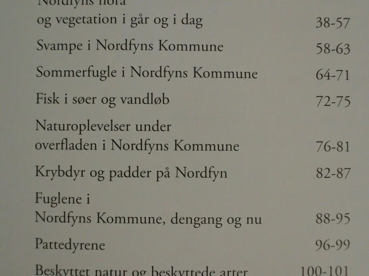 Billede 2 - nordfyns natur en trængt natur i et smukt landskab