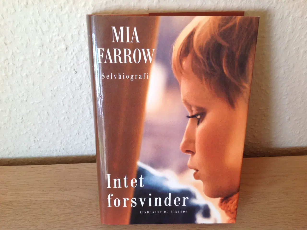 Billede 1 - Intet forsvinder