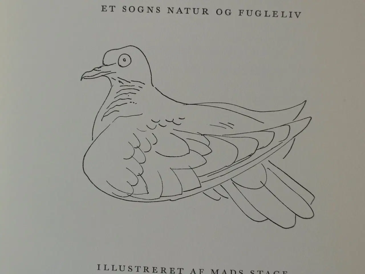 Billede 3 - selborne - et sogns natur og fugleliv, af gilbert 