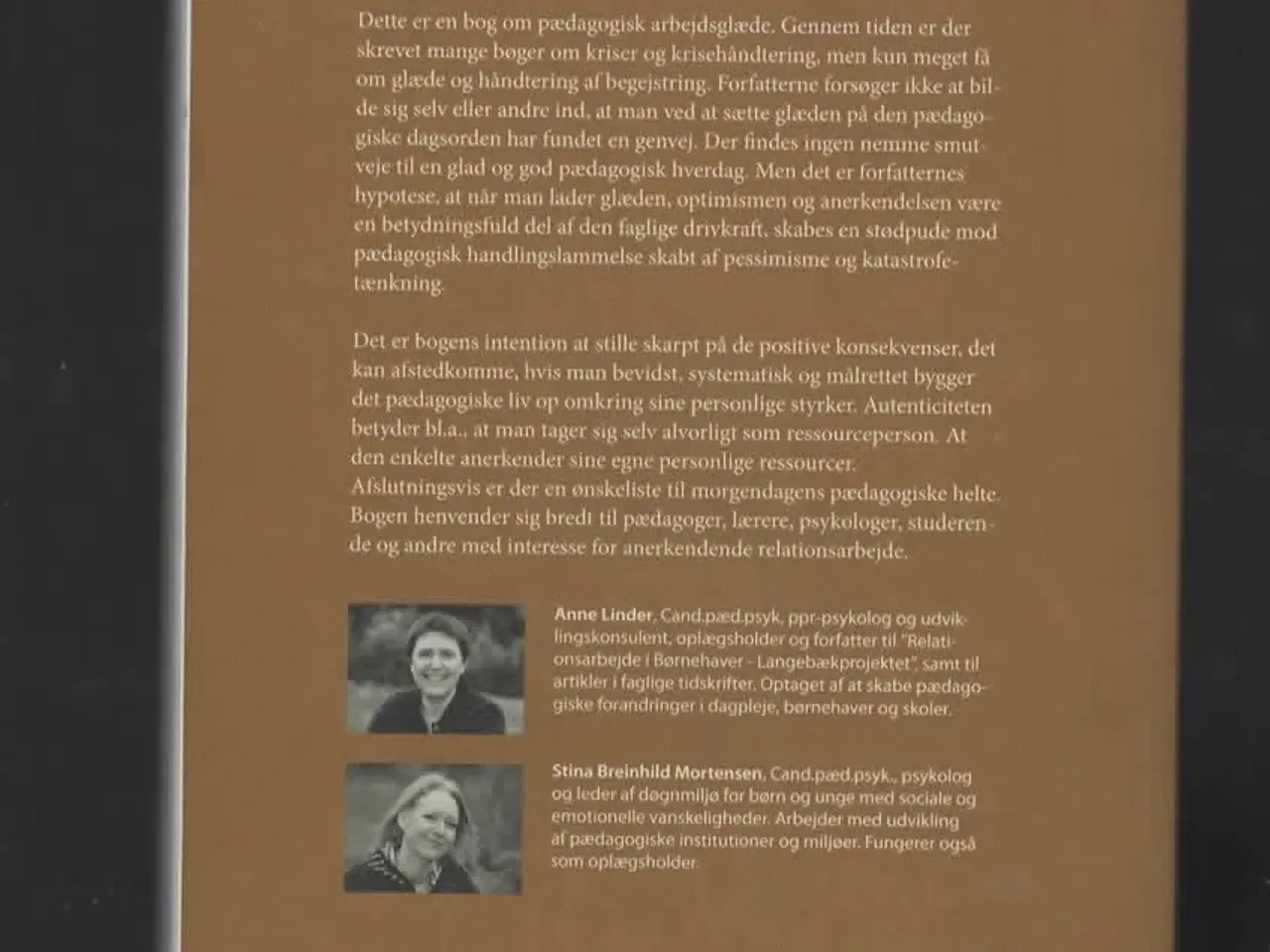 Billede 2 - En positiv tilgang til pædagogik