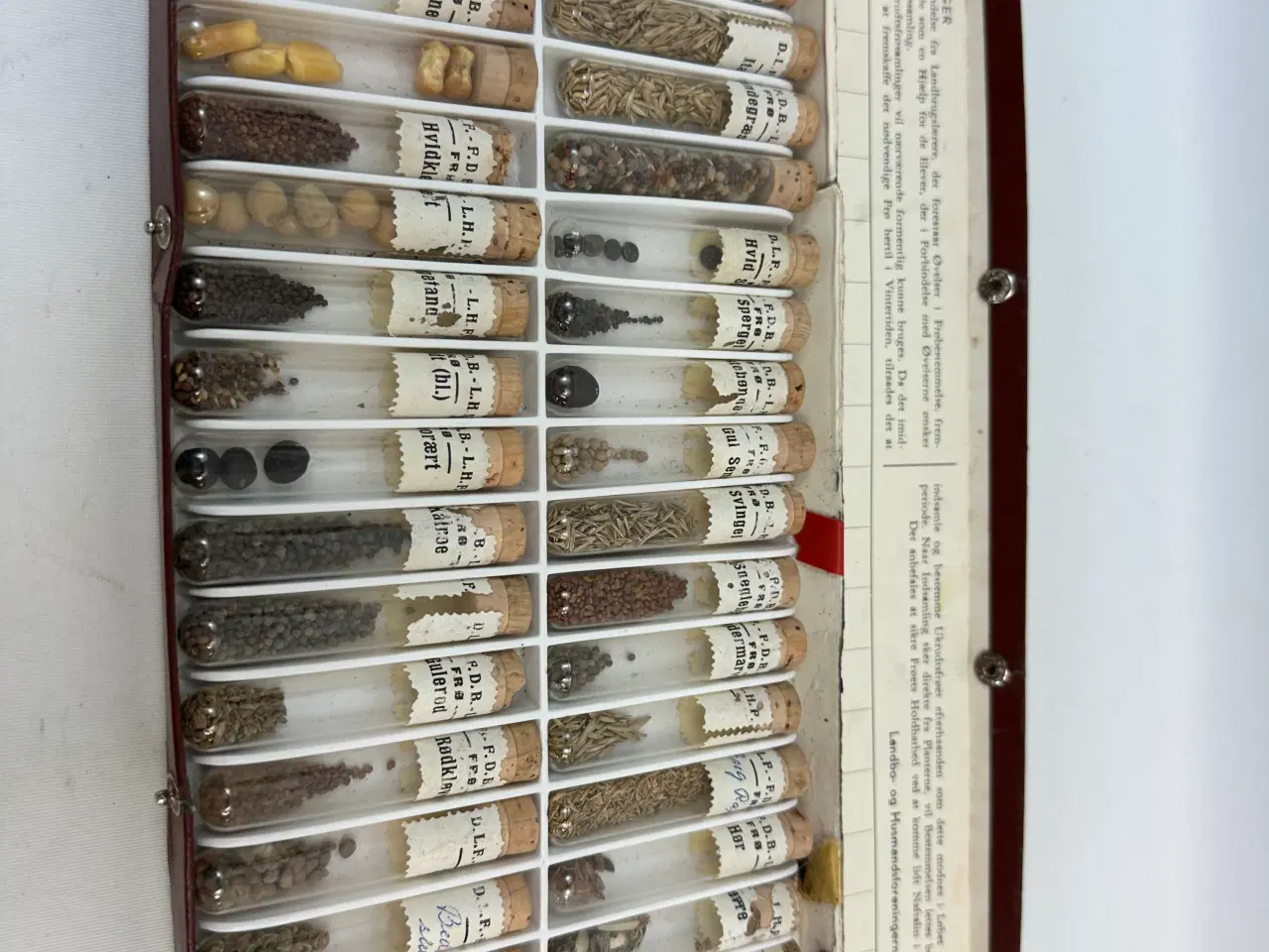 Billede 1 - Ældre frøsamling i 36 cylindere 