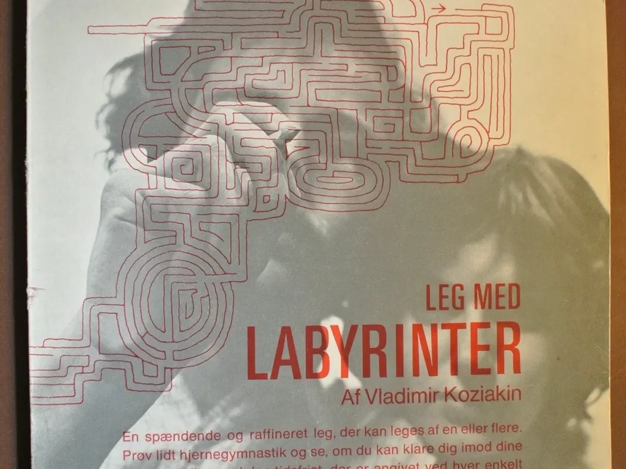 Billede 1 - leg med labyrinter, af vladimir koziakin, emne: an