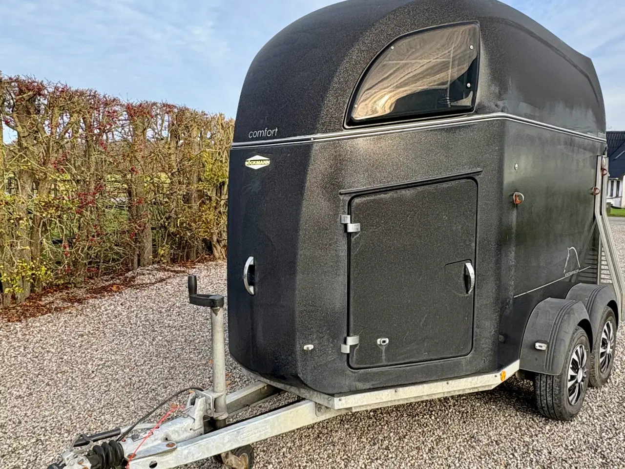 Billede 3 - Böckmann Comfort Hestetrailer 